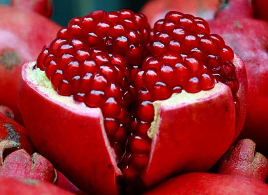 Pomegranate